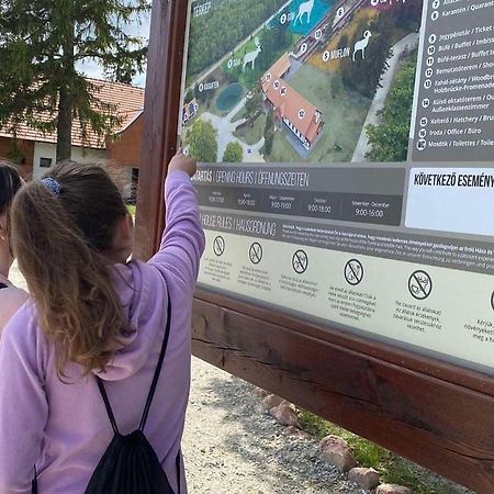 El Gusto Homes Town Шопрон Екстериор снимка