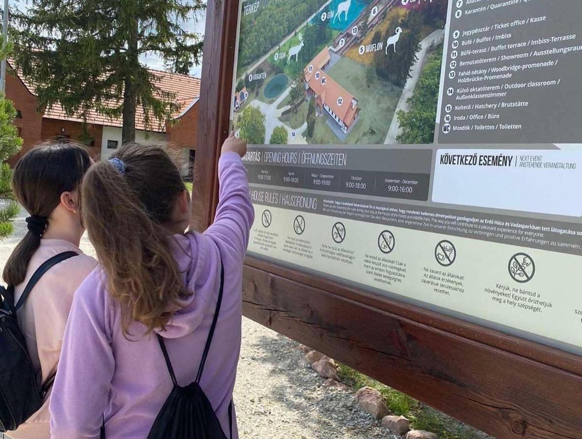 El Gusto Homes Town Шопрон Екстериор снимка